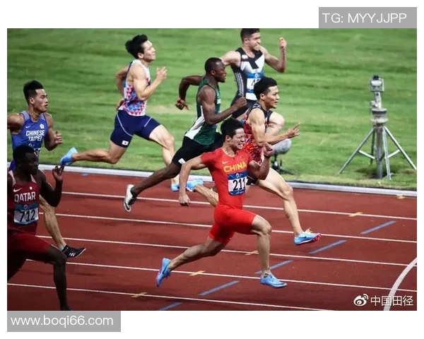 白沙洲足球场历届出场球星回顾及其在赛场上的辉煌表现